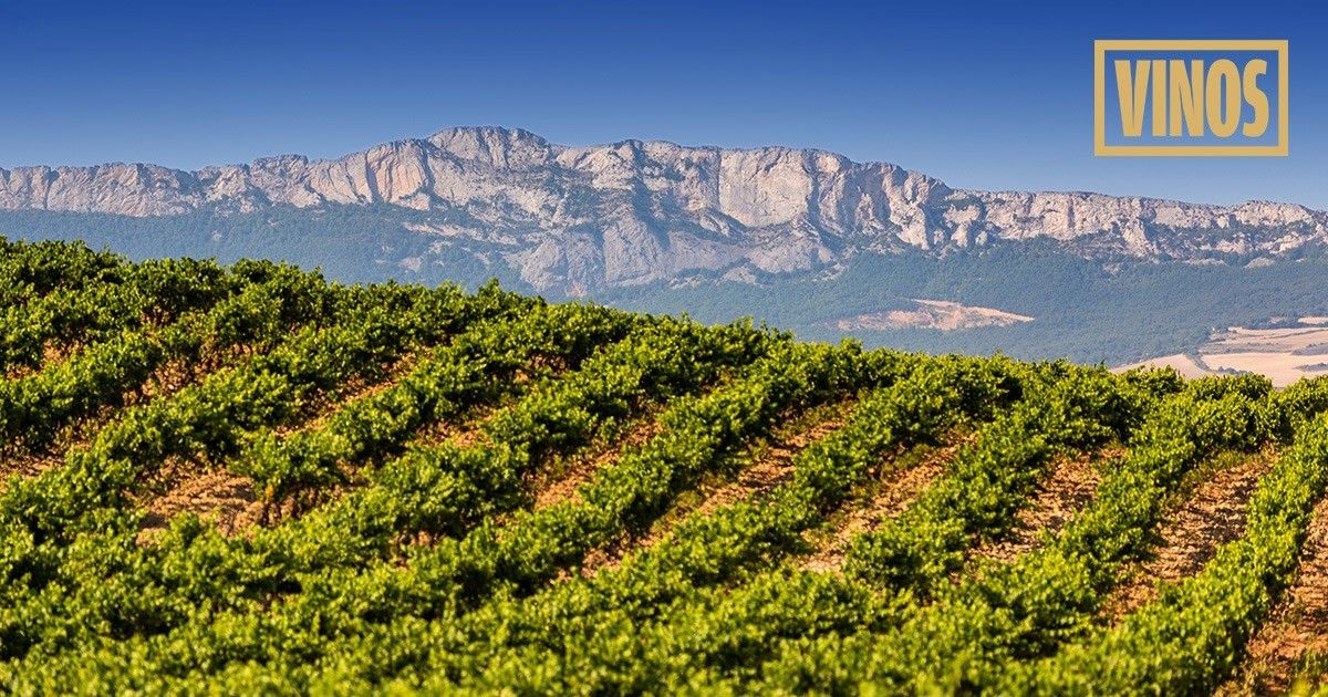 Weine aus Binissalem - Mallorca Spanien-Spezialist VINOS, DOP kaufen 