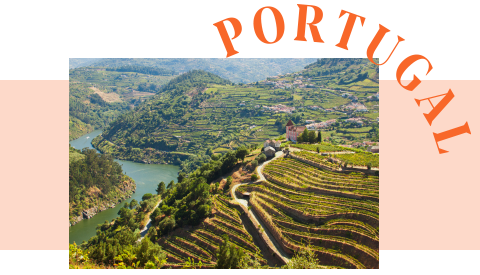 Portugal – Weinberge im Douro-Tal