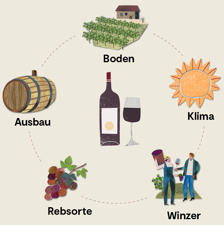 Spanische Rotweine kaufen | VINOS, Spanien-Spezialist