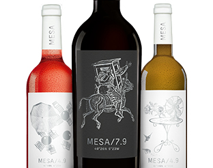 Das MESA-Projekt