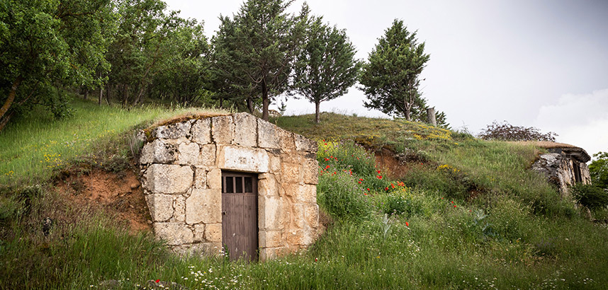 Steinhaus im Hügel eingebettet, umgeben von Bäumen und Wildblumen.