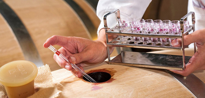 Ein Winzer entnimmt mit einer Pipette Wein aus dem Barrique – verschiedene Proben im Glas zeigen die Vielfalt möglicher Cuvée-Kombinationen