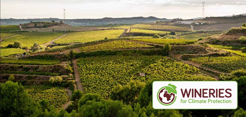 Grüne Weinberge in hügeliger Landschaft, dazu das Logo „Wineries for Climate Protection“.