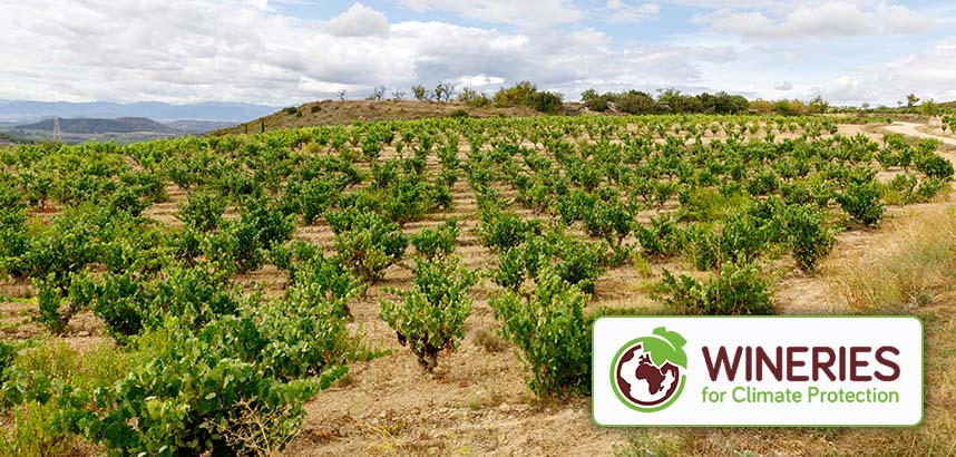 Weinberg mit Hügeln und Logo "Wineries for Climate Protection".