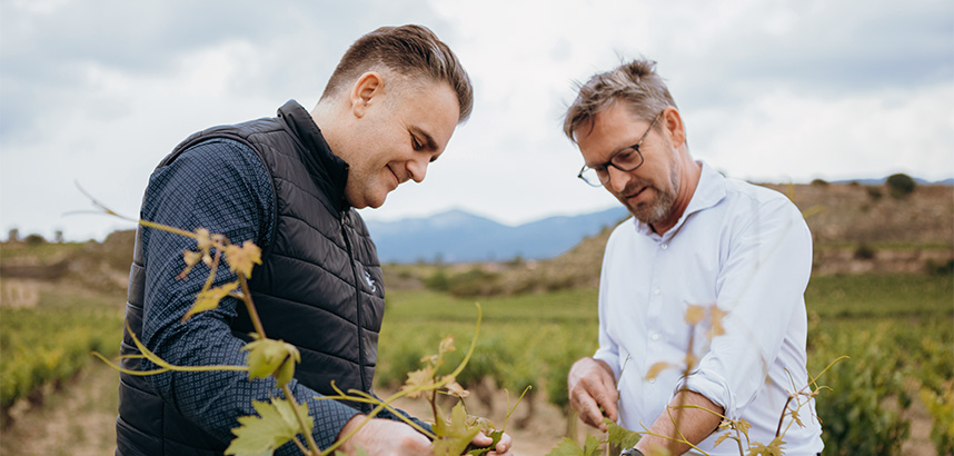 Zwei Männer im Gespräch zwischen Rebstöcken – ein Winzer und ein Vinos-Mitarbeiter beim Besuch im Weinberg