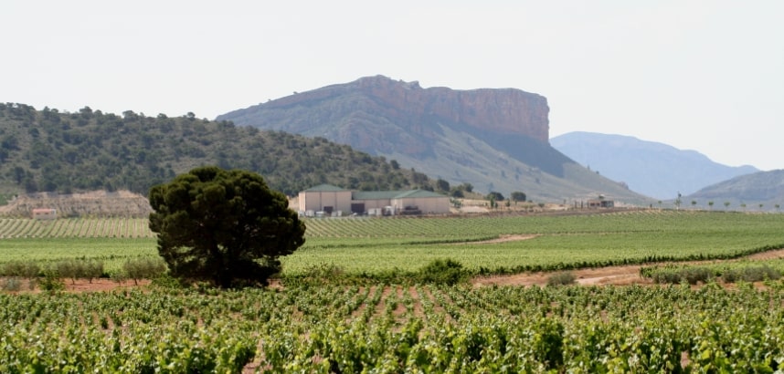Juan Gil Landschaft