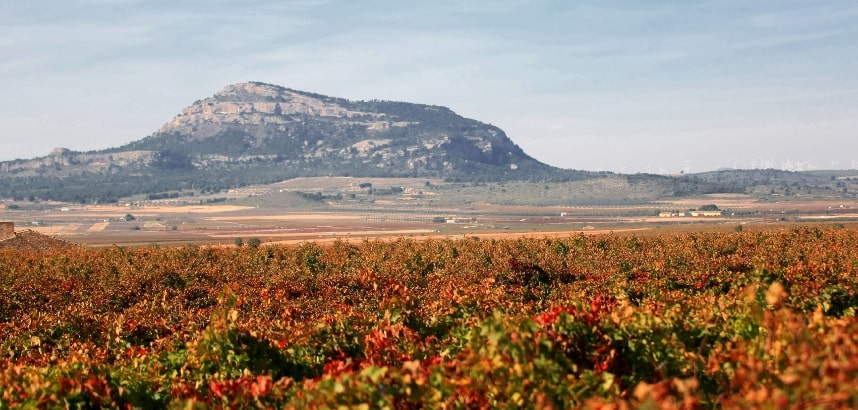 Der Herbst beschert uns eine fantastische Aussicht auf die eingefärbten Weinberge.