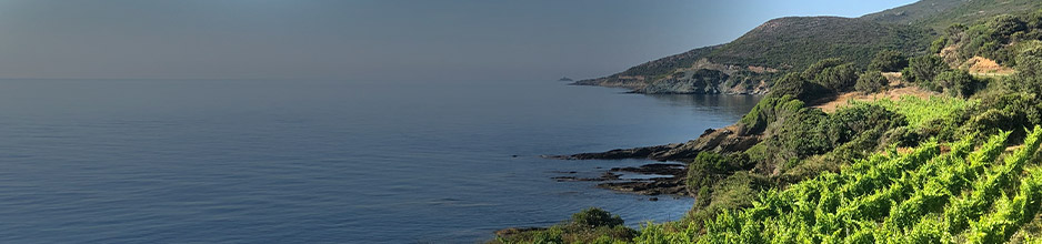 Hochwertige Weine aus Rías Baixas