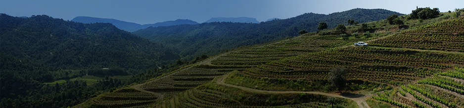 Alle Weine aus Priorat von Portal del Priorat