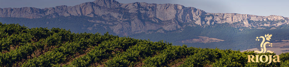 Alle Rioja-Weine von Vega Sicilia