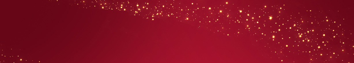 Unsere Angebote für die Weihnachtszeit