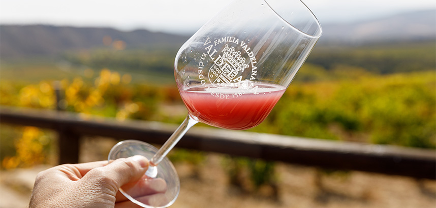 Hand hält ein Glas mit leuchtend rotem Traubensaft – frischer Most der Bodega Valdelana, direkt nach der Lese