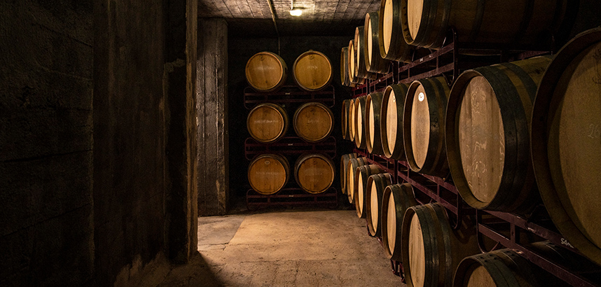 Blick in den Fasskeller von Enrique Mendoza: Reihen aus Holzbarriques in einem schlichten, ruhigen Gewölbe